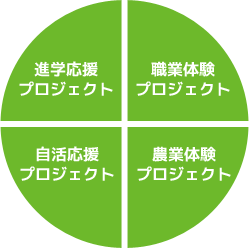 活動内容